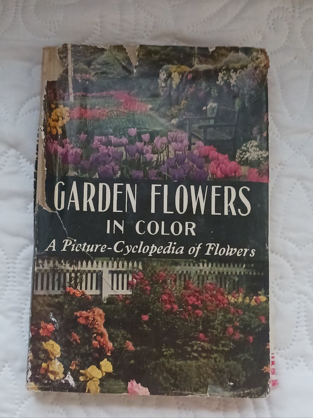 Garden Flowers in Color - Illustrated Flower Cyclopedia (Brand Unknown)